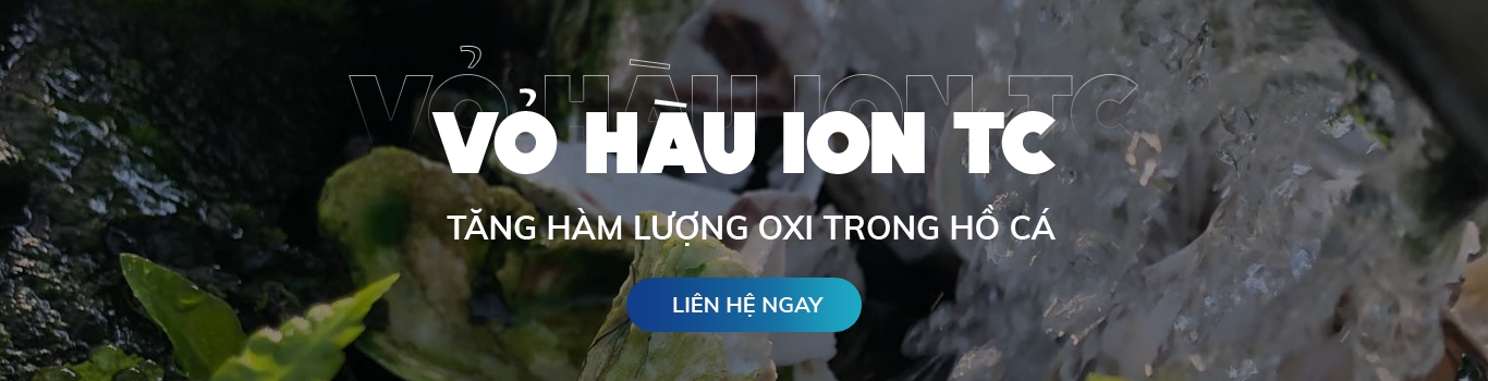 Vỏ hàu ION TC thương hiệu hàng Việt Nam chất lượng cao