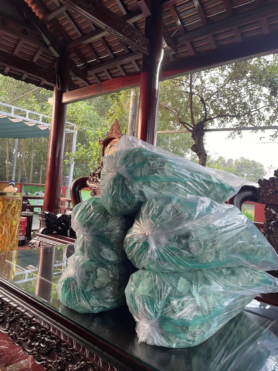 Cách phân biệt vỏ hàu ion thật – giả trên thị trường