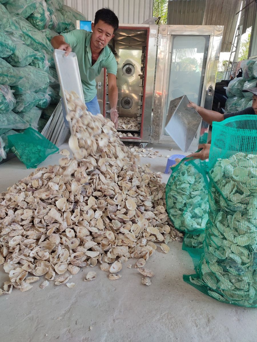 Tư vấn bảo trì vật liệu lọc dùng vỏ hàu ion để duy trì hiệu suất lọc