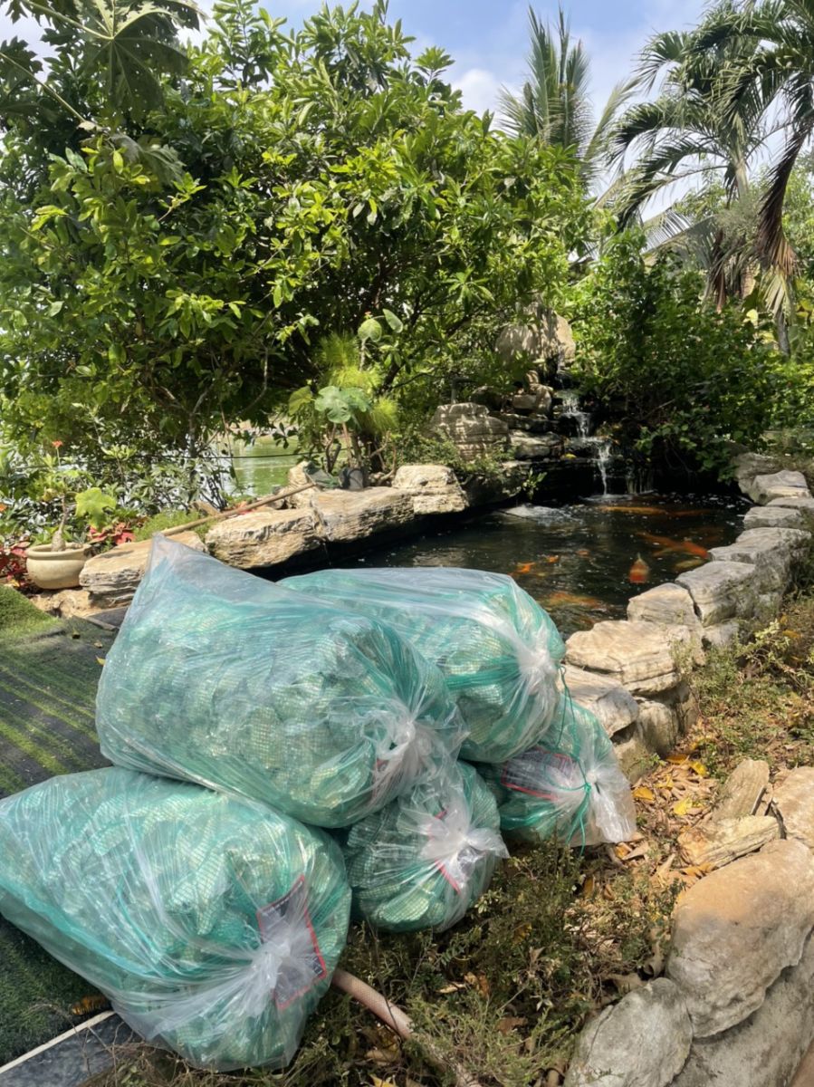 lọc hồ cá koi
