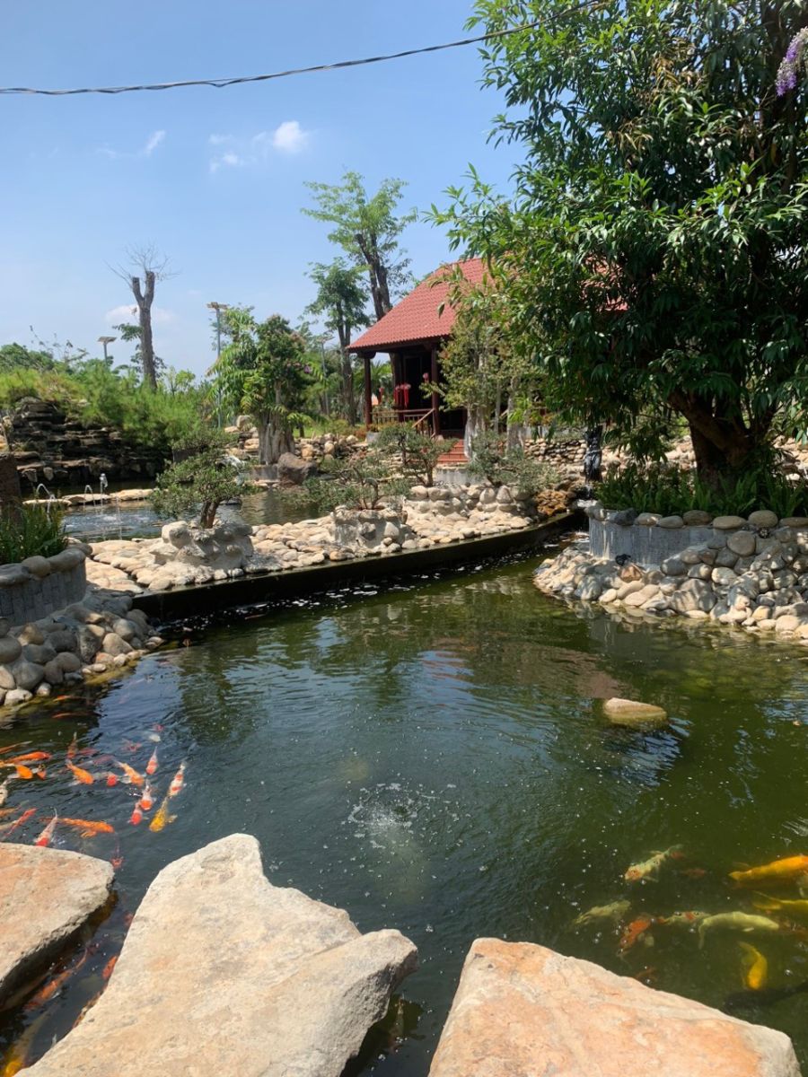 lọc hồ cá koi