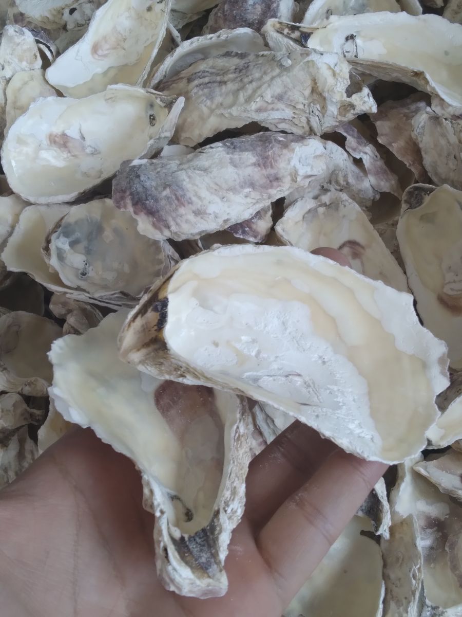 Bảo đảm chất lượng