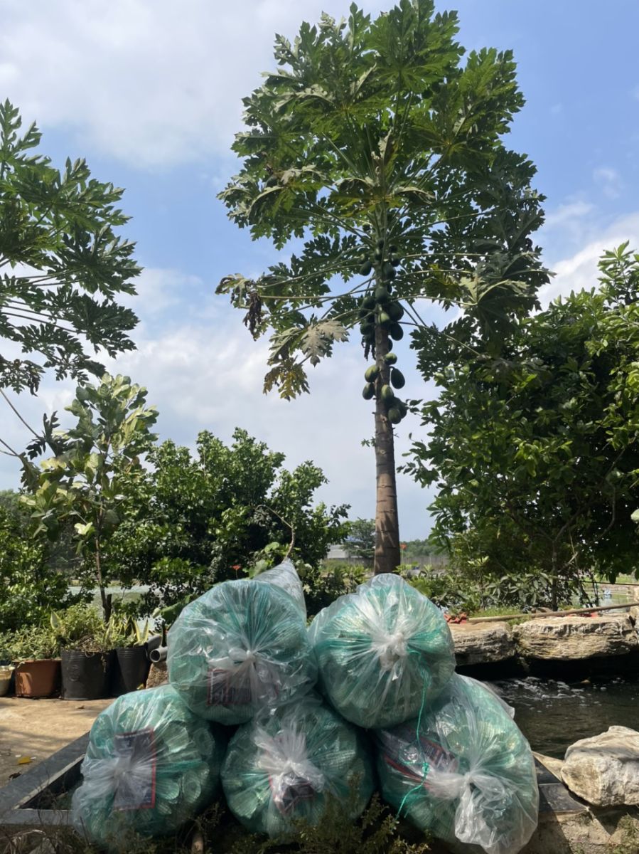 Dễ sử dụng