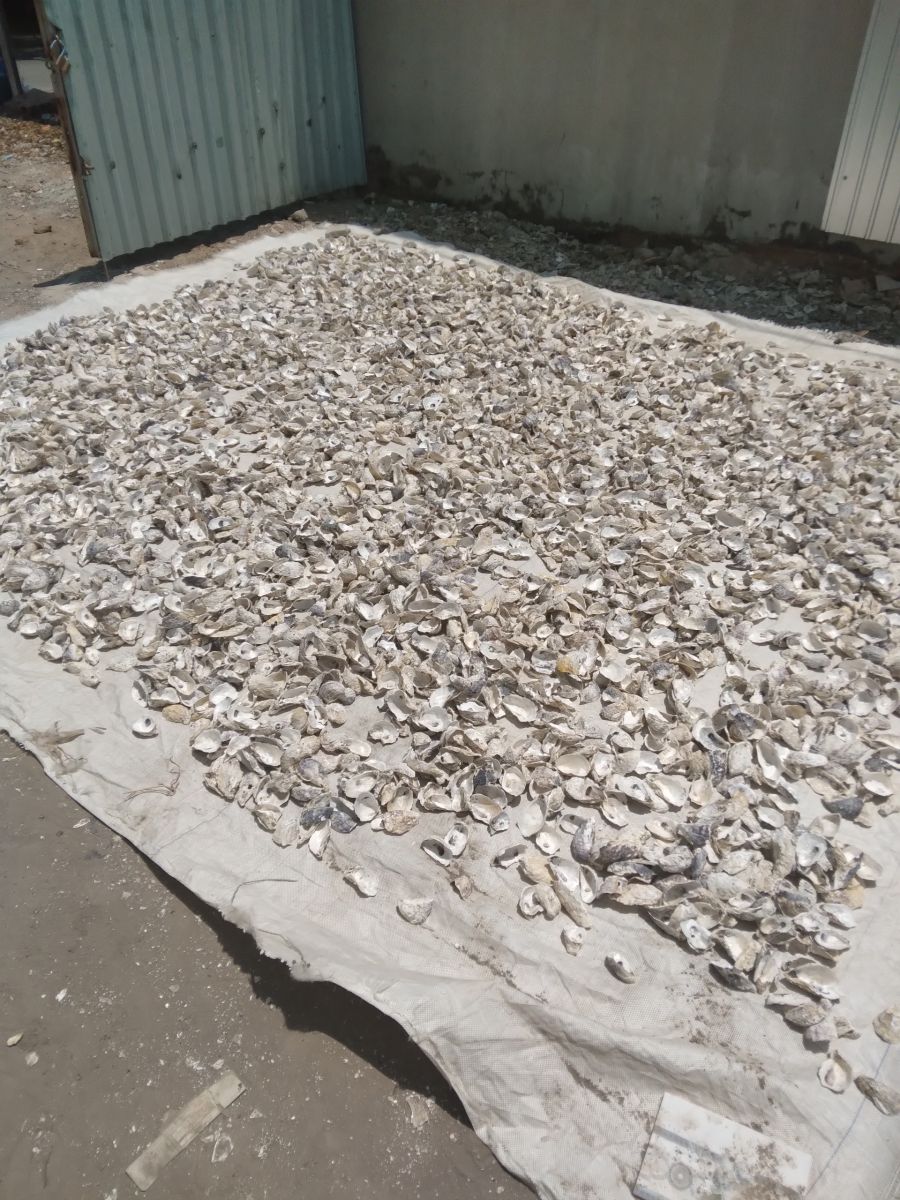 An toàn cho môi trường