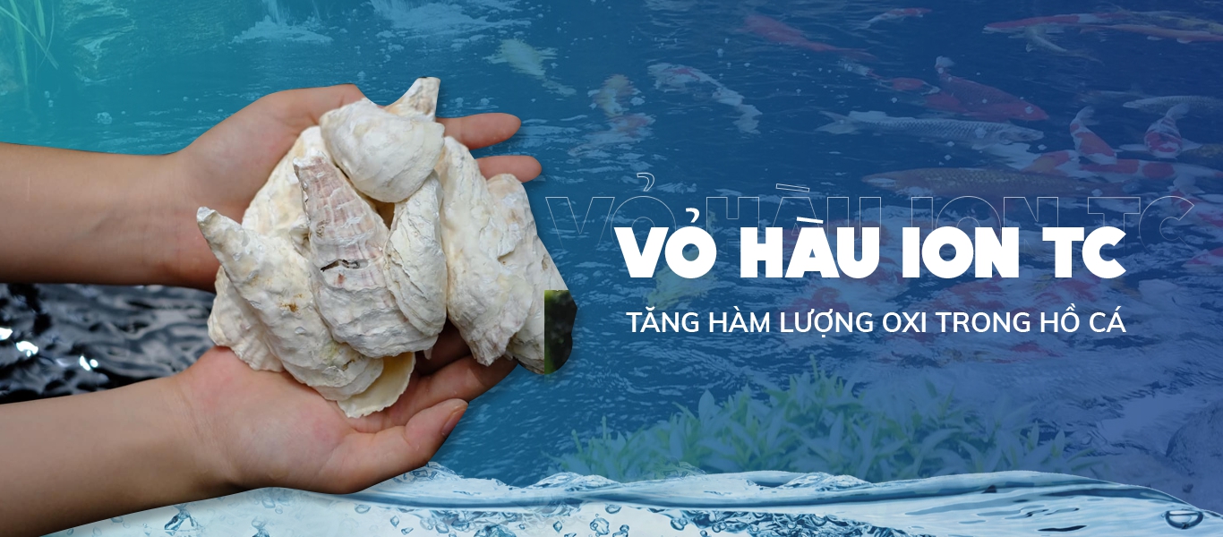Vật liệu lọc Vỏ hàu Ion TC