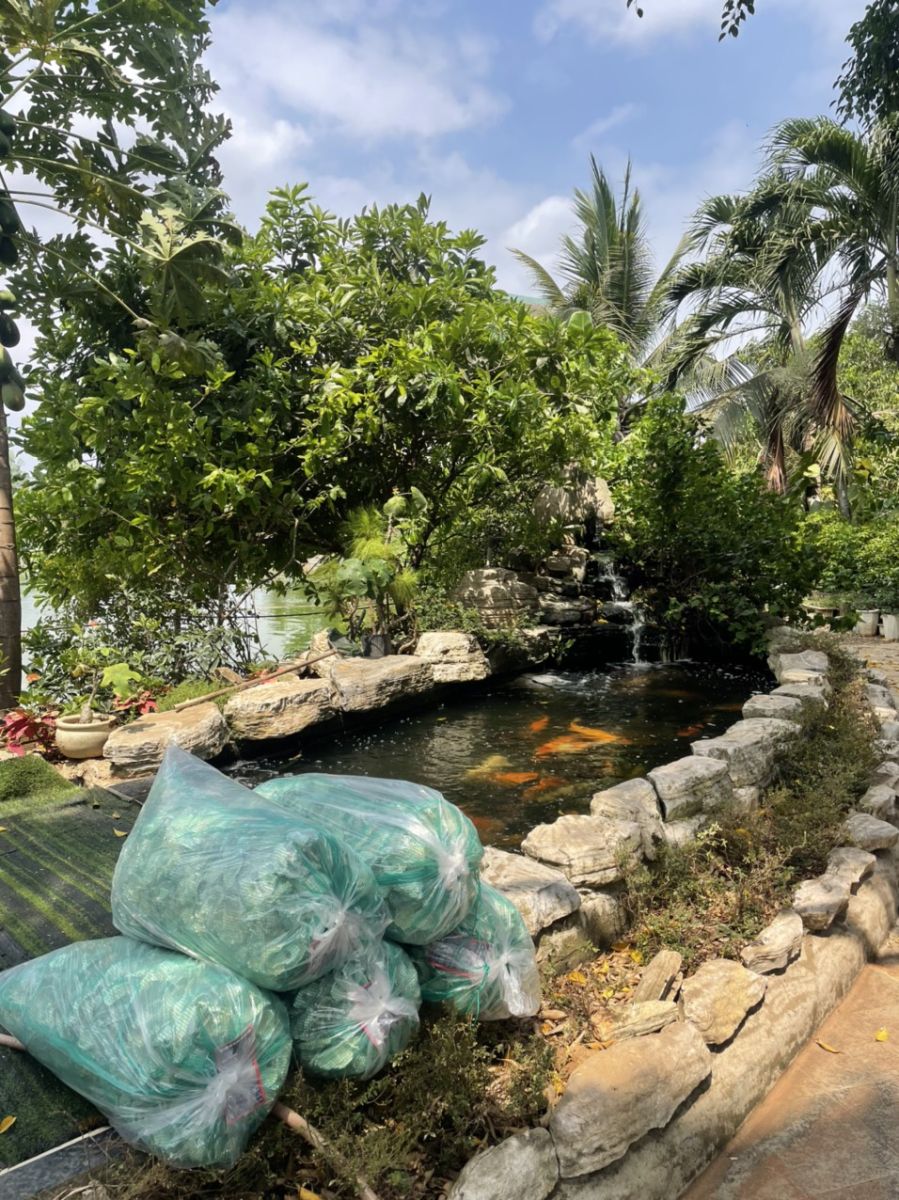 Tạo Điểm Nhấn Tự Nhiên